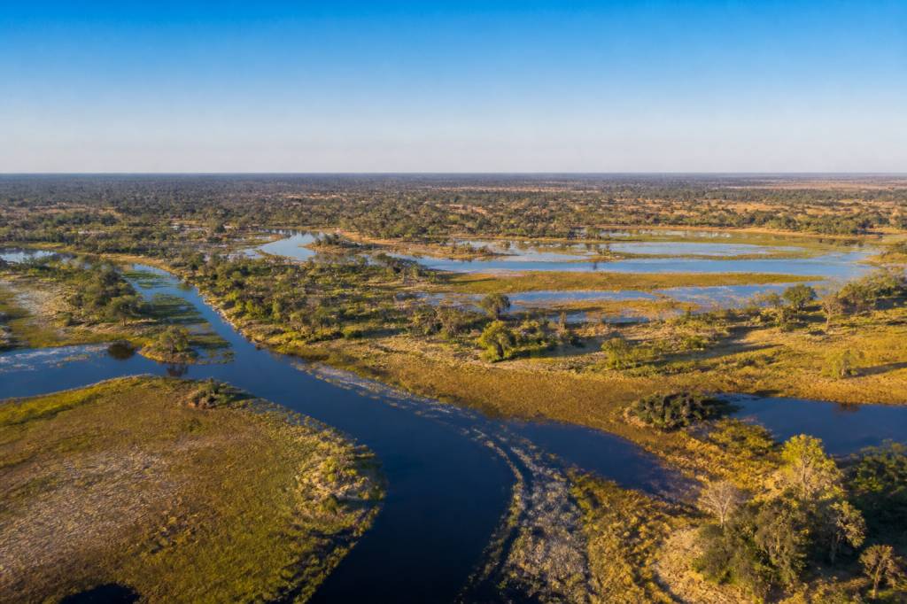 Botswana okavango, immersion au cœur d’un écosystème unique