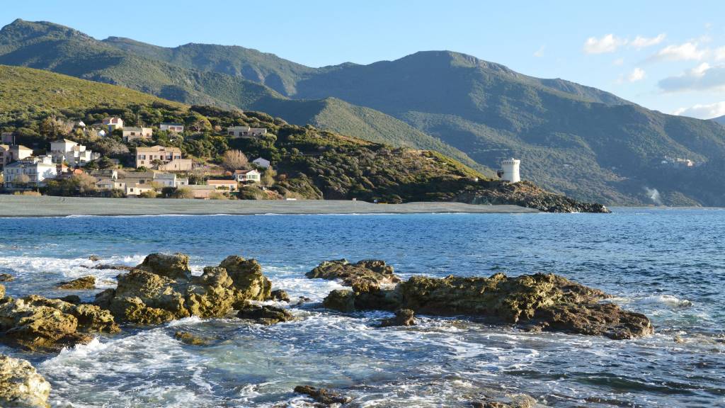 Vin de corse : Sant armettu rosumarinu