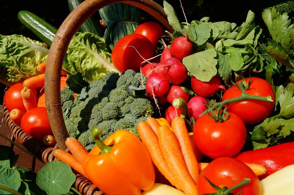 Découvrir lyon avec un panier mini tout légumes : circuits courts et saveurs locales
